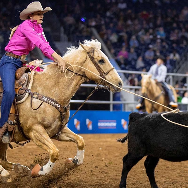 Houston Livestock Show and Rodeo and the Professional Rodeo Cowboys  Association Announce Multi-year Partnership - Houston Livestock Show and  Rodeo