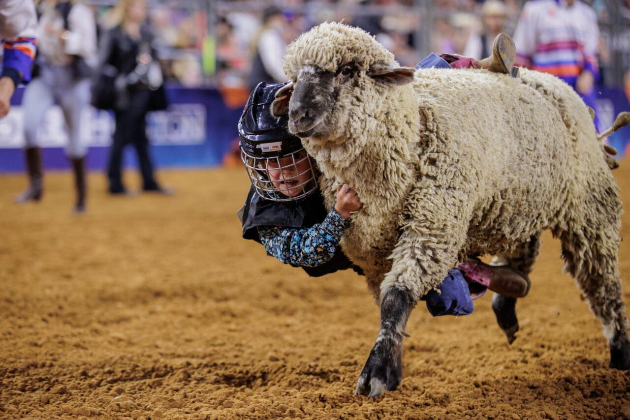 Mutton Bustin’ Houston Livestock Show and Rodeo