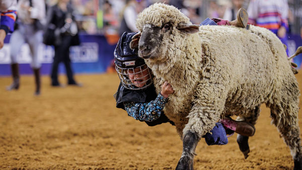 https://www.rodeohouston.com/wp-content/uploads/2023/09/MB.jpg