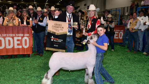 The Houston Livestock Show & Rodeo™ Junior Market Lamb and Goat ...